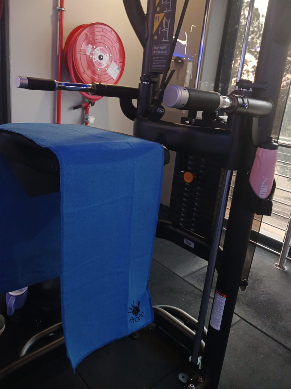 FitGrip Visual Journey