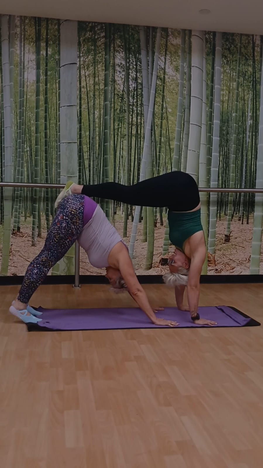 FitGrip Visual Journey