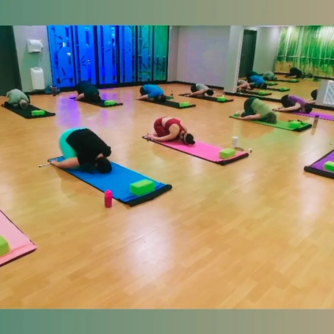 FitGrip Visual Journey